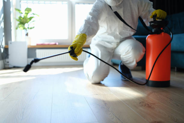 Reliable Blood Cleanup contractor in Lucerne, CA by Trauma Clean Pros